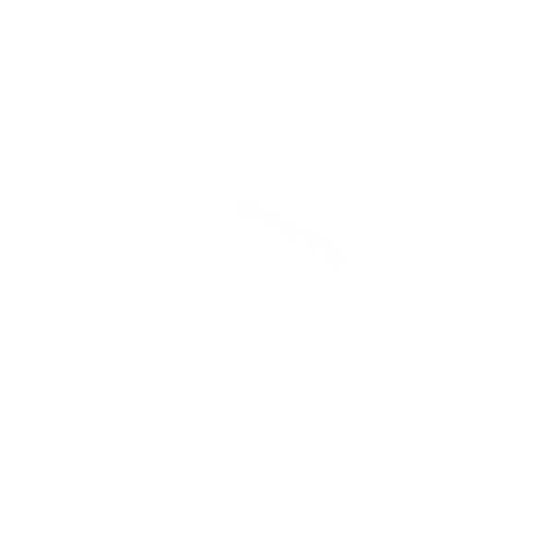YouTubeWhiteIcon.png